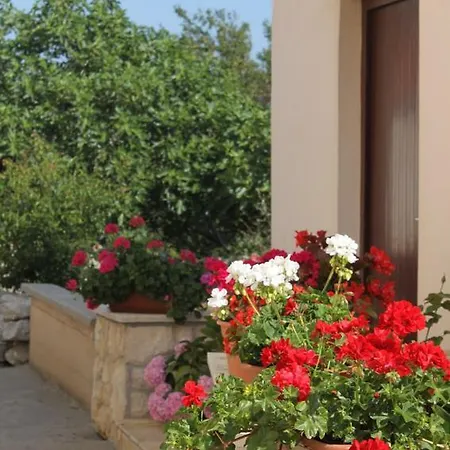 Studio Veli Rat 436a Apartamento Brbinj