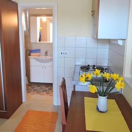 Studio Veli Rat 436a * Brbinj